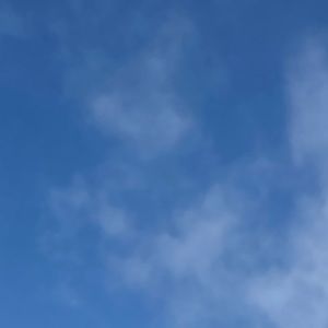 Meet your Posher, Émilie